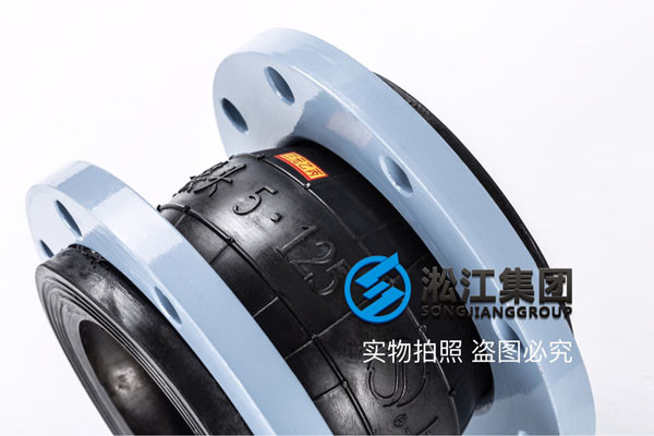 工業(yè)廢水污泥泵/回用泵配套不銹鋼耐腐蝕可曲撓橡膠接頭