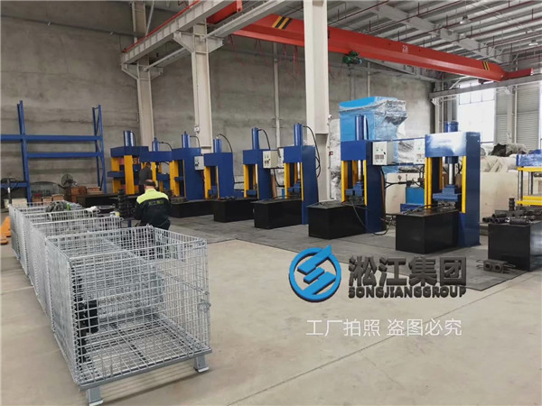 DN25,DN40至DN125，外襯丁腈，內(nèi)襯F4橡膠接頭