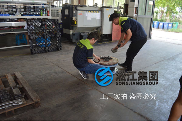 酒店配套水泵進口專用可繞曲橡膠軟連接，熱水