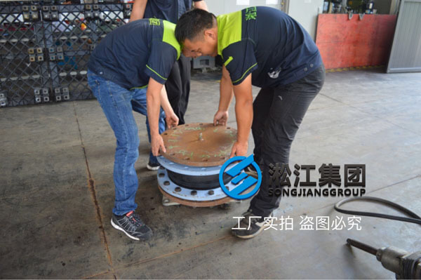 酒店配套水泵進口專用可繞曲橡膠軟連接，熱水