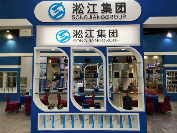 工藝水泵橡膠膨脹節(jié) DN300/DN200/L=292/1.6MPa