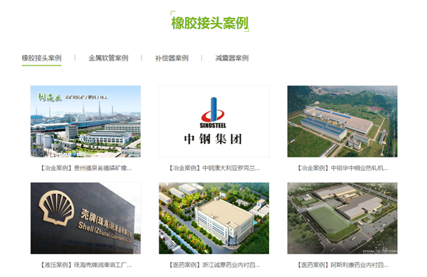 “DN80mm口徑的膨脹節(jié)”，要求承壓10公斤即可